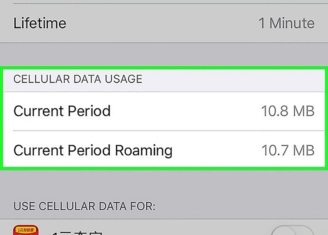 Cellular Data Usage