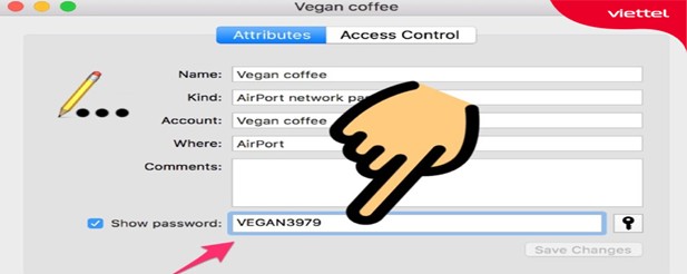 Minh họa mật khẩu wifi tại mục “Show password”.